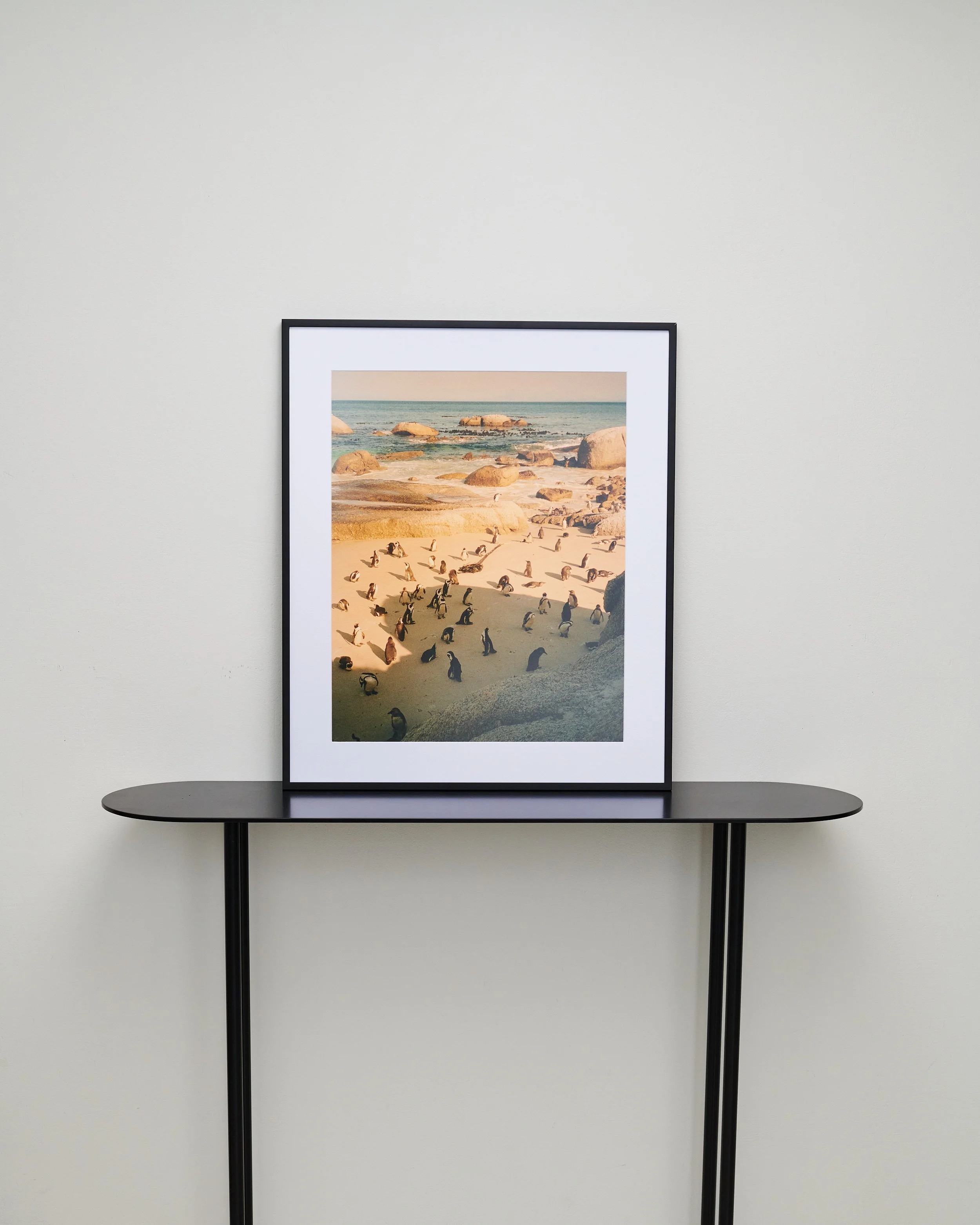 Point and Shoot stories, South Africa, Simons town. — fine art print