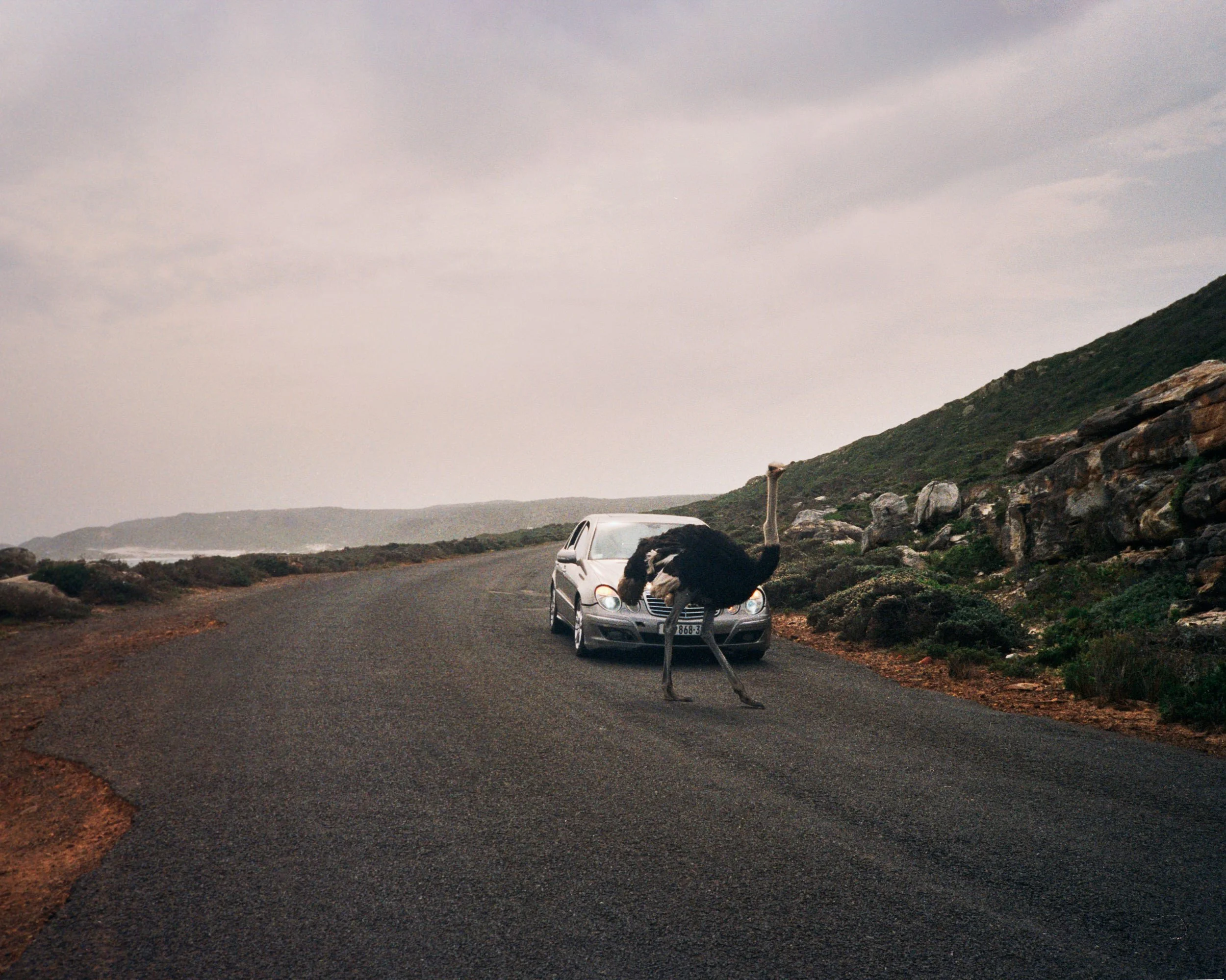 Point and Shoot stories, South Africa — fine art print