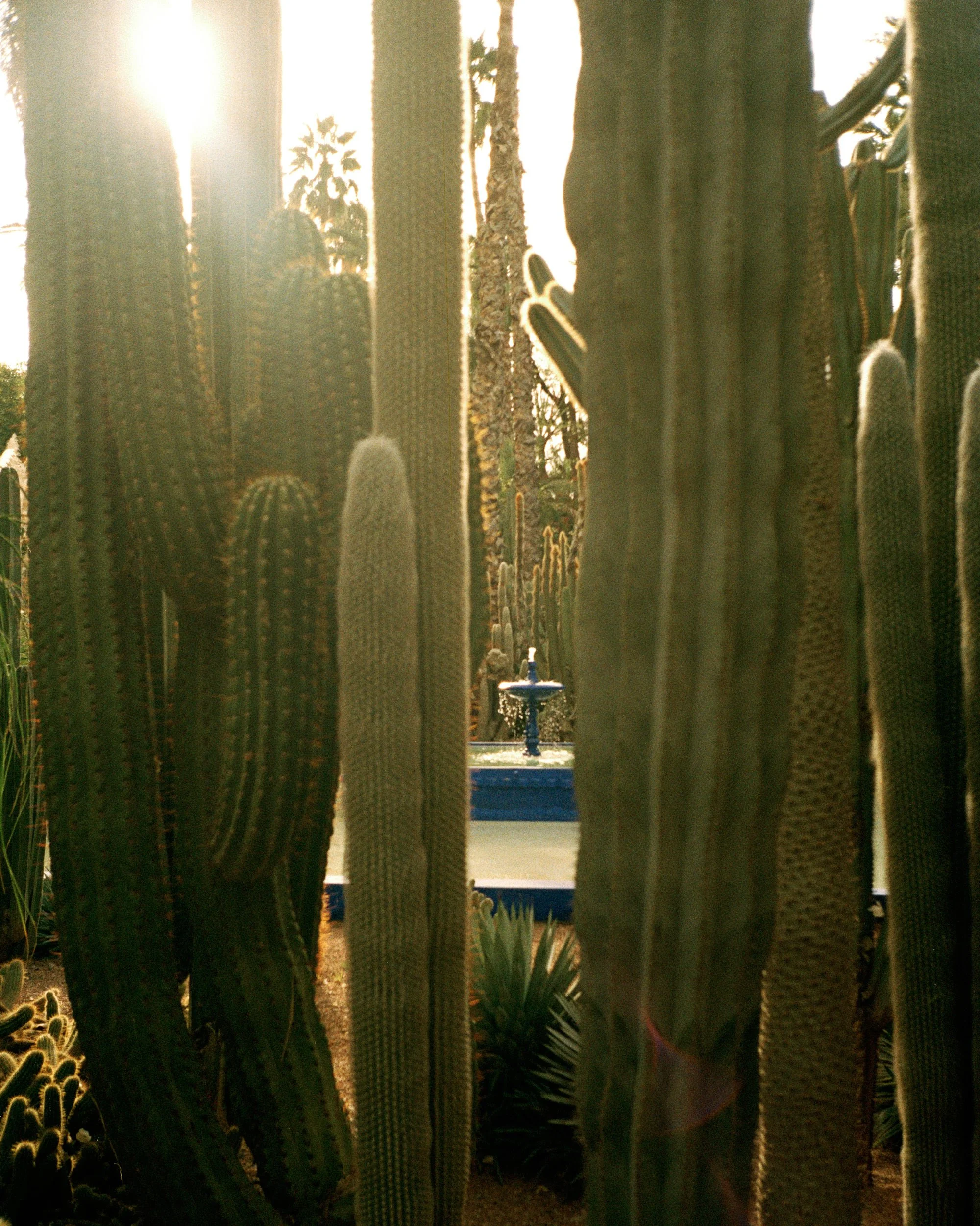 Point and Shoot stories, Morroco — fine art print