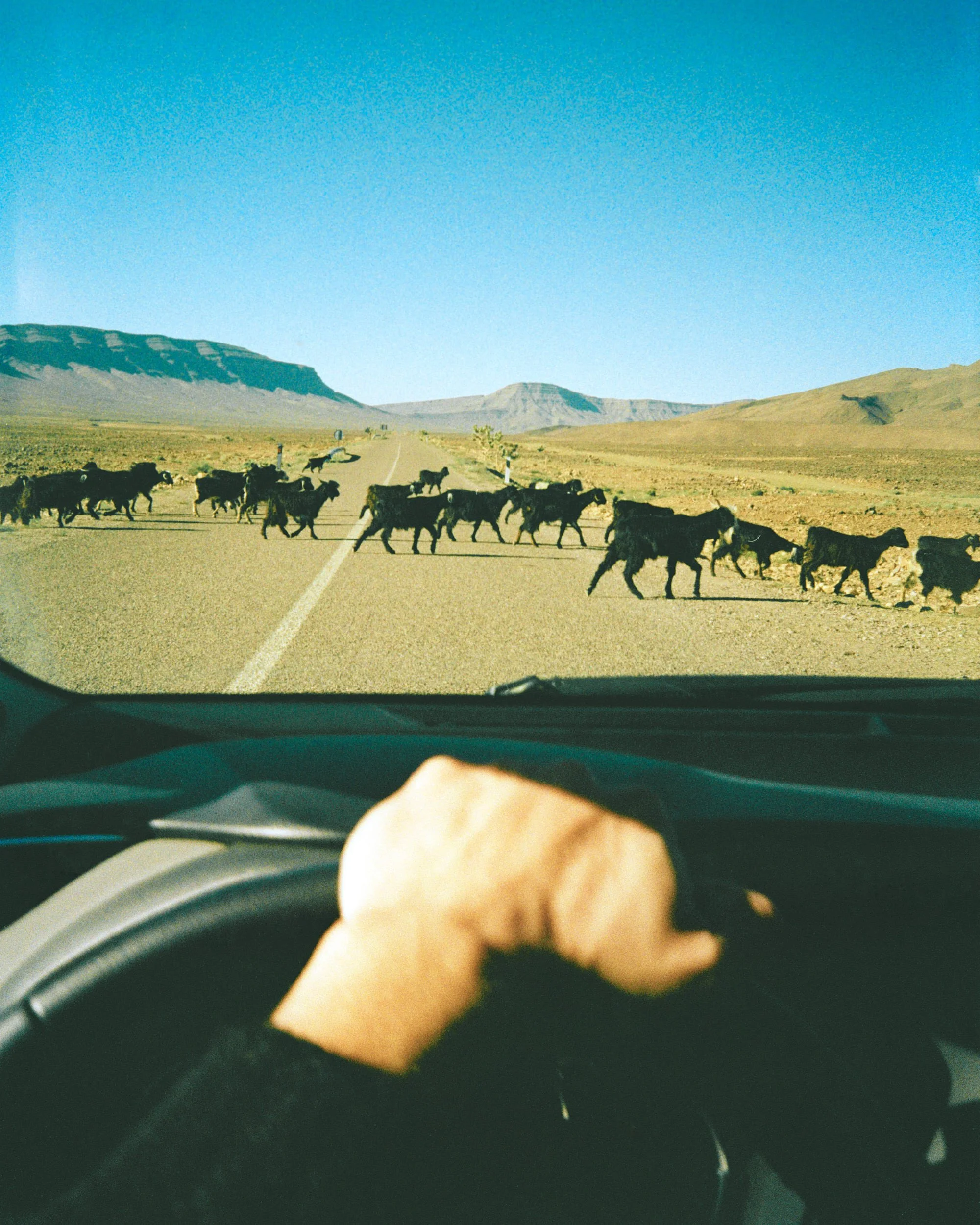 Point and Shoot stories, Morroco — fine art print