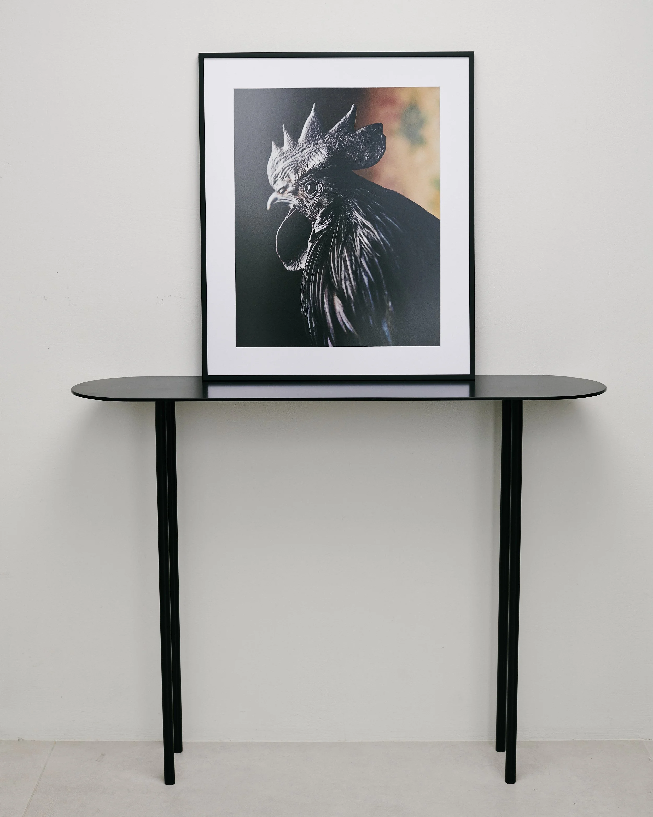 Felix, the black rooster — fine art print