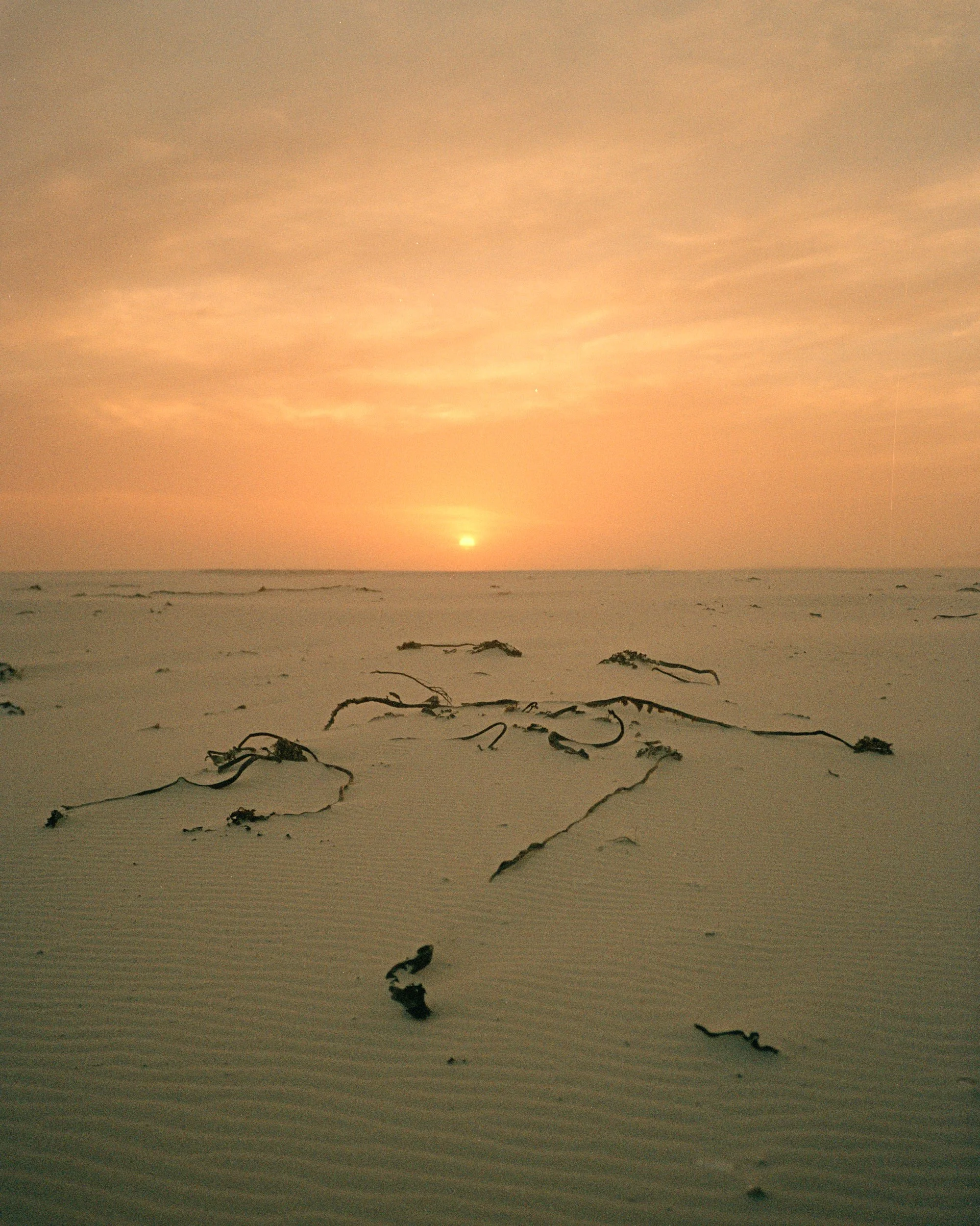 Point and Shoot stories, South Africa — fine art print