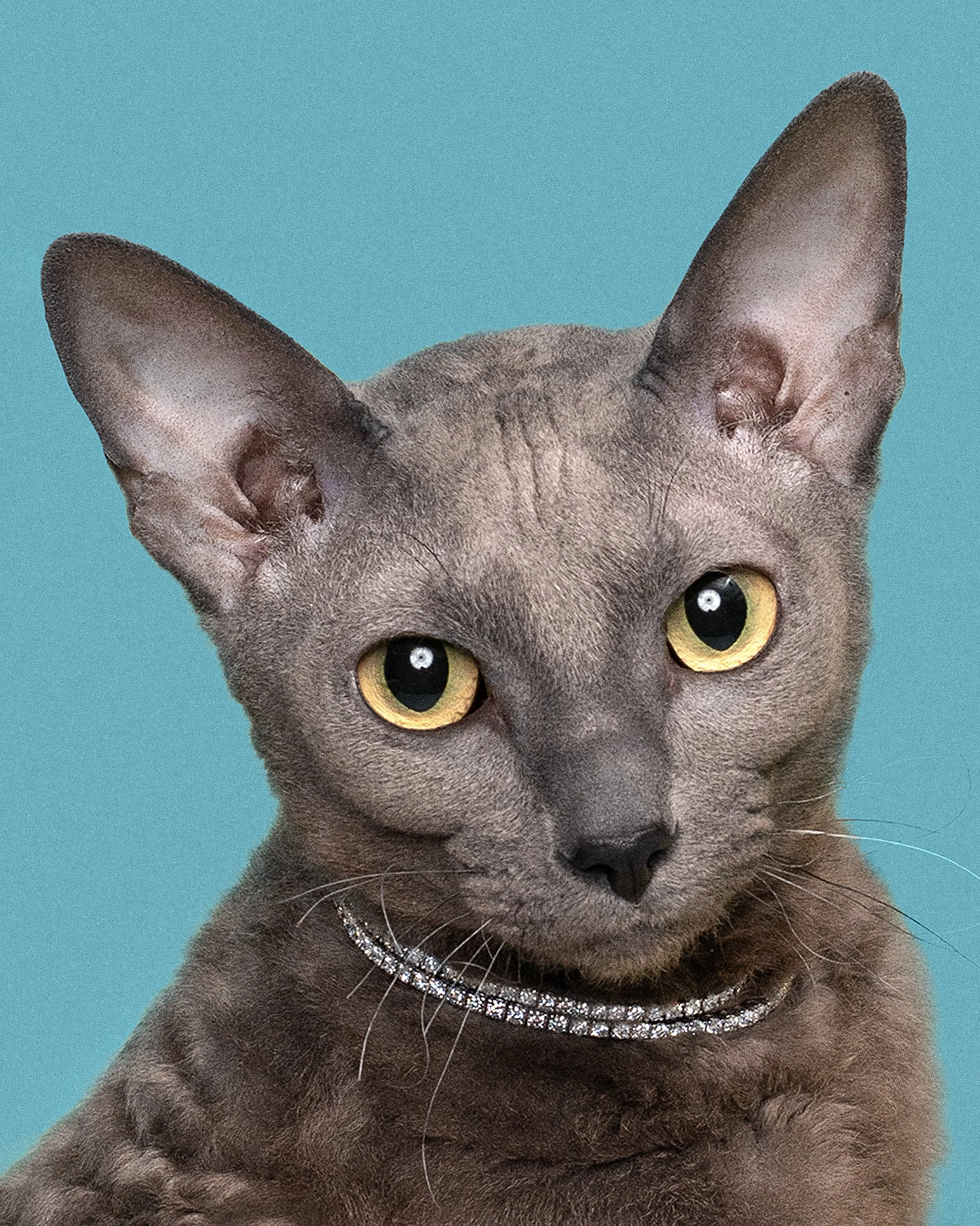 Diamonds of Everyone_Internetquality-1 35_untouched.jpg