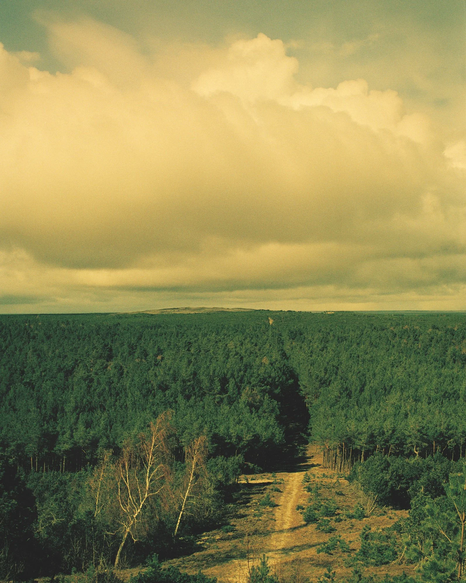 Point and Shoot stories, Lithuania #5 — fine art print