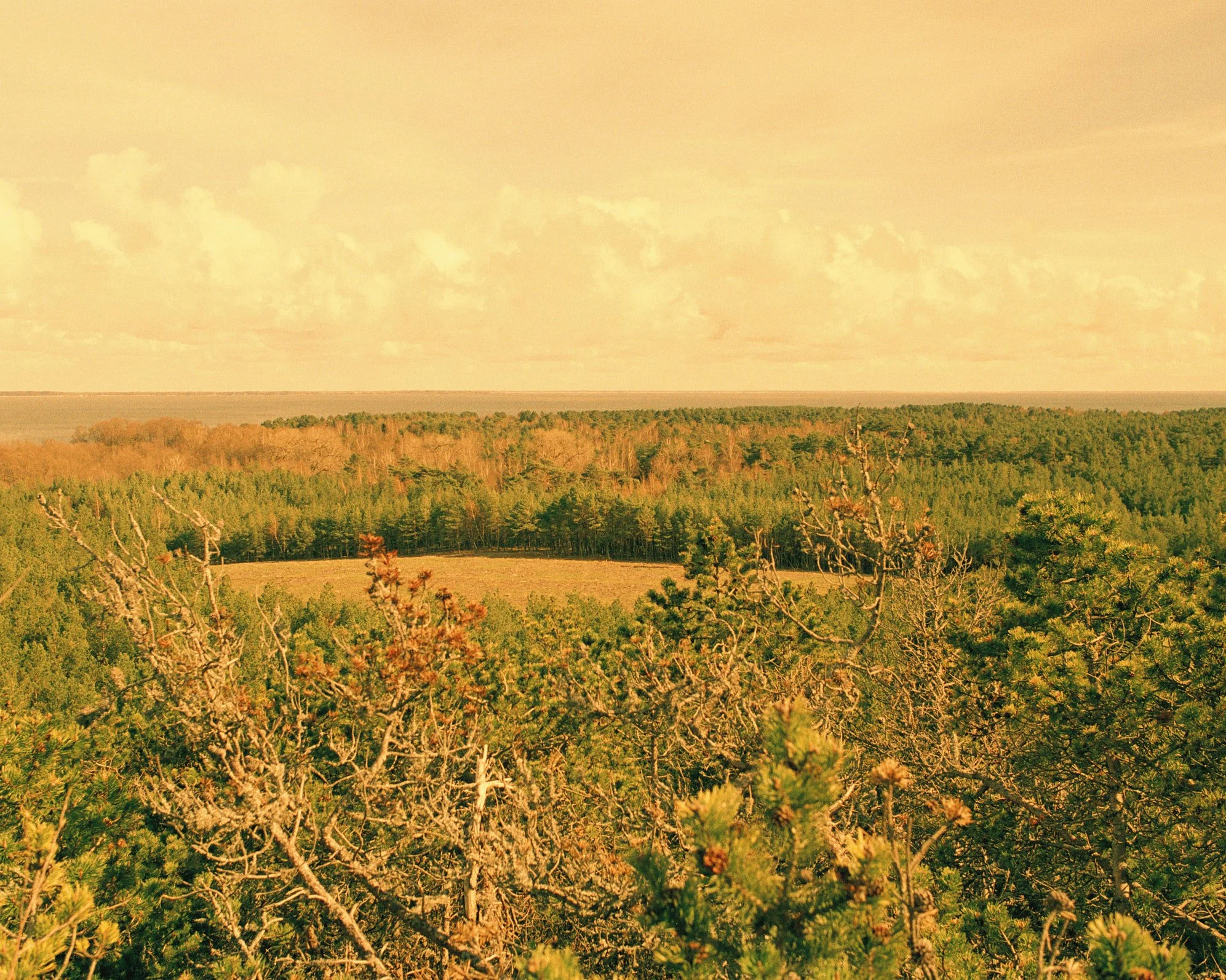 Point and Shoot stories, Lithuania #4 — fine art print